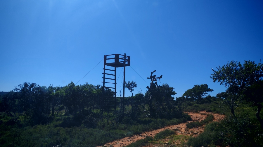 0 Bedroom Property for Sale in Somerset East Rural Eastern Cape